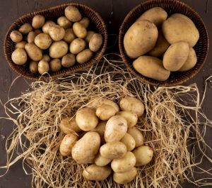 top view young potatoes on hay with potatoes in baskets